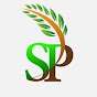 Sp play Game YT