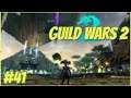 Guild Wars 2 🧙🏼 041 - Feldversuch 🧙🏼 Let's Play