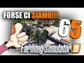 🔴 65 ✧ Ora Ci siamo Forse !!!┋ Farming Simulator 19 | Gameplay ITA ◖PC◗