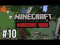 Finding Sheep ! Minecraft hardcord  #10 ! Finding Sheep