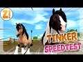 Speedtest: Der NEUE Tinker! | Star Stable [SSO]