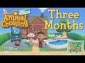 My Animal Crossing: New Horizons Town (After Three Months)