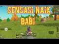 Perang Mode Solo Sausage Man - Sehati Game