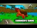 Pixark - Carbonemys taming