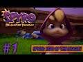 Spyro: Year Of The Dragon [Reignited Trilogy] Part 1 - (The Eggs!)
