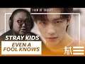 The Kulture Study: Stray Kids "Even A Fool Knows" MV