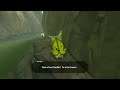 The legend of zelda breath of the wild Gameplay 80 (Switch) A la recherche de korogus (parties 15)