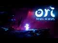 Ori and The Will of The Wisps 19 - Grand Finale!!! (GAMEPLAY PT-BR)