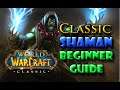 Classic Shaman Beginner Guide