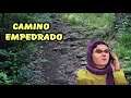 REBEL INC ESCALATION NUEVA CAMPAÑA #5 "CAMINO EMPEDRADO" +  LA BANQUERA (gameplay en español)