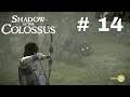Shadow of The Colossus Gameplay no PS4 - [ Português - 14 ]