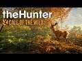 The Hunter - Call Of The Wild / #14 / El Oso debilitado.
