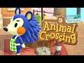 Animal Crossing: New Horizons #26 | Die Schneiderei will eröffnen? | Let's Play Gameplay Deutsch