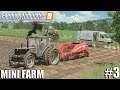 Digging potatoes from Ground w/ GRIMME | MINI FARM in Europe | Timelapse #3 | Farming Simulator 19
