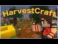 Pam's HarvestCraft 1.15.2 EP20 : A Temperate Park