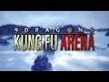 9Dragons : Kung Fu Arena Early Access - Developed by Joongwon Entertainment