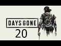 Days Gone | Capitulo 20 | Ahogados Como Ratas | Ps4 Pro |