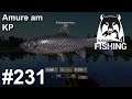 Schwarze und Weiße Amure am Karpfenparadies 🎣🐋 | Russian Fishing 4 #231 | Deutsch | UwF