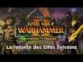 Total War: Warhammer II - The Twisted & The Twilight : La refonte des Elfes Sylvains