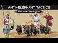 Flaming Pigs and Anti-Elephant Tactics DOCUMENTARY