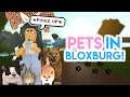 IF BLOXBURG HAD PETS *Update*!!! | SunsetSafari