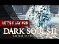 AAVA, LA BÊTE ROYALE | Dark Souls 2 - LET'S PLAY FR #28