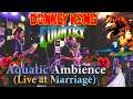 Aquatic Ambience - Donkey Kong Country (Matrimonio Gamer) // Jazztick