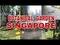 Botanic Garden at Bukit Timah, SINGAPORE. #BotanicGarden #Singapore
