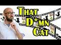 How Most People Misunderstand The Schrodinger Cat Thought Experiment