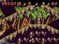 Puggsy (Genesis) - Gameplay