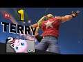 Terry Team Victory Poses / Kirby Hat / Final Smash  Part 13 - Super Smash Bros. Ultimate +