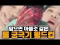 유사과학이 난무하는 롤 궁극기 월드컵 [진지한 영상]