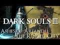 Dark Souls 3 Ashes of Ariandel & The Ringed City DLCs Review - Epic Experience With No Trophies!