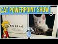 Girl Makes PowerPoint Presentation to Convince Parents to Get a Cat (ft. Nikki Blades)