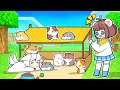 Mèo Simmy Và Bé Mưa Xây Nhà Cho 10 Bé Chuột Hamster Bị Bỏ Rơi Trong Minecraft