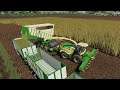 Ungesheim #34 | Farming Simulator 19 Timelapse | Maize, Planting, Animal Care |FS19 Timelapse