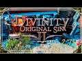 Divinity Original Sin 2 | Honour Mode Walkthrough | Part 278 Nemesis Soulhunter