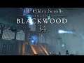 Let's Play ESO - Blackwood [Blind] [Deutsch] Part 34 - Befreiung Grenzburgs