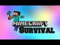 Minecraft Survival Series Part 55 The Floors Are Done