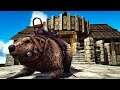 Wynona The Big Brown Beaver & Viking Castle! Ark Survival Evolved Fjordur