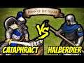 200 Elite Cataphracts vs 1,000 Halberdiers | AoE II: Definitive Edition