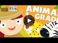 Animal Math First Grade Math Games for Kids Math 1080p Official Eggroll Games