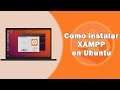 Como Descargar e Instalar Xampp en Ubuntu | Paso a paso