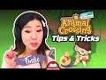 HyperX Crash Course | Fuslie | Animal Crossing Tips and tricks