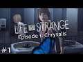 Life is Strange, Episode 1:Crysalis (part 1) with Q and A