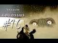 10th Colossus | Shadow of the Colossus | Blind Gameplay 10