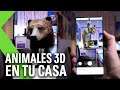 ANIMALES 3D en TU CASA | Así es la nueva función de GOOGLE
