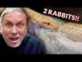 BIG ANACONDA EATS TWO RABBITS!! WHAT EXCITES ME ABOUT THE REPTILE ZOO EXPANSION??  | BRIAN BARCZYK