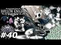 Die Königsseele und die Geister der Vergangenheit - Hollow Knight #40