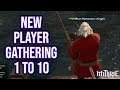 FFXIV 5.1 1403 New Player Gathering Level 1 to 10 (2019)